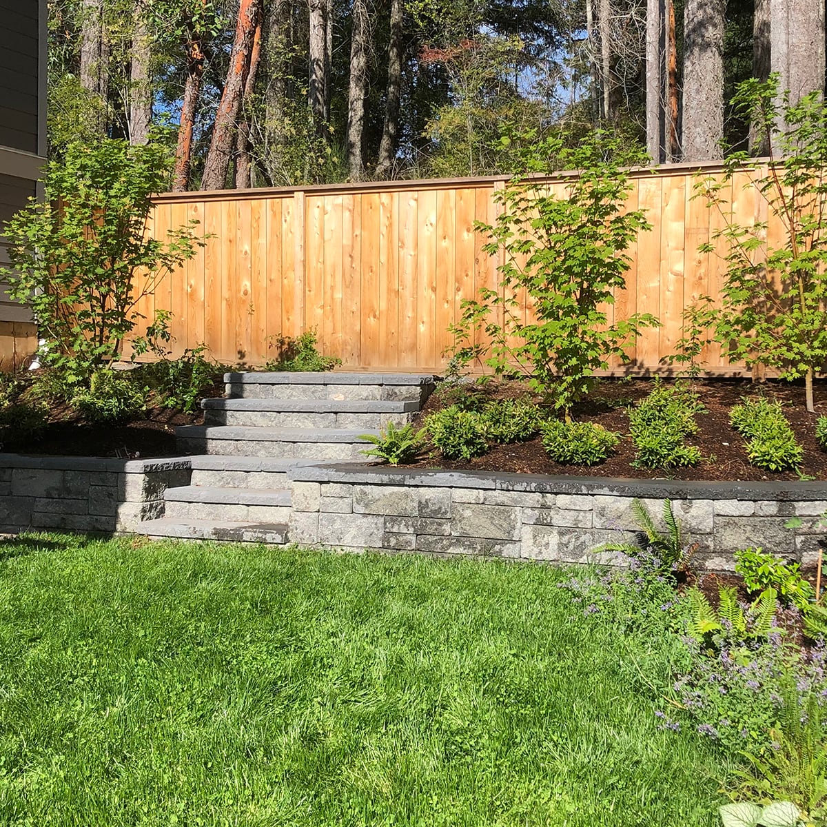 Stone retaining wall and a new wooden fence with green grass in the back yard of Tanglewood Counselling, with blue ocean and a pink sky in the background